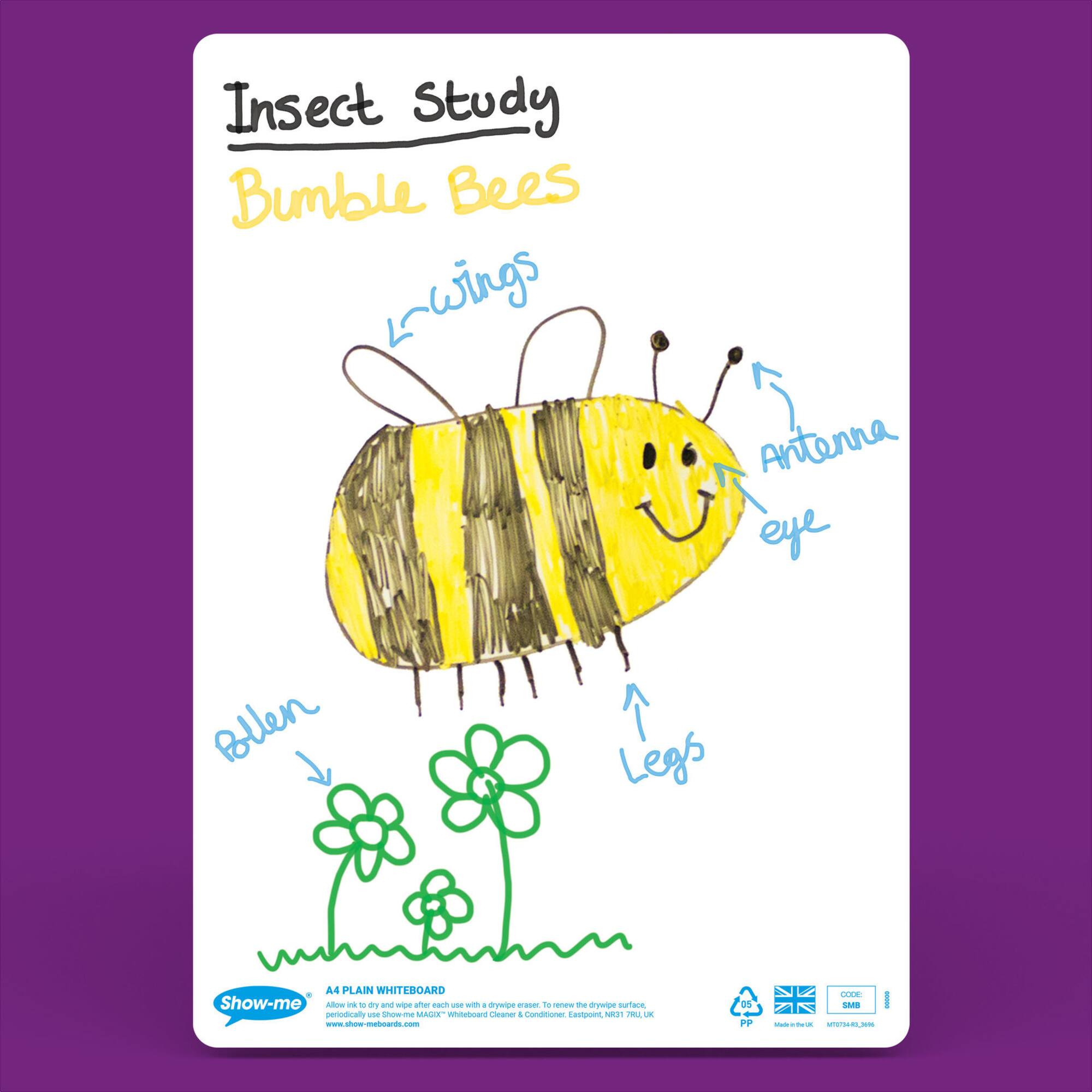 Show-me® A4 Plain Whiteboards Bulk Box Set